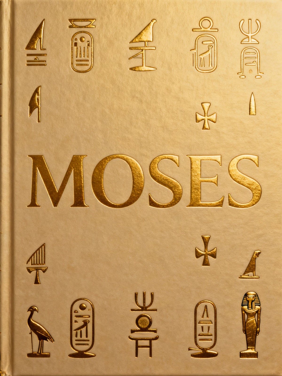 WhatsApp Bild 2025-11-15 um 13.52.29_c47f8353 MOSES – Bild 1